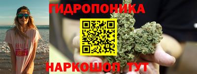 гашик Канаш