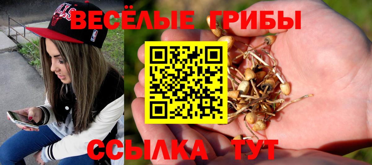 Псилоцибиновые грибы мицелий  Псилоцибиновые грибы Psilocybe  Вход с VPN  Каменск-Уральский 